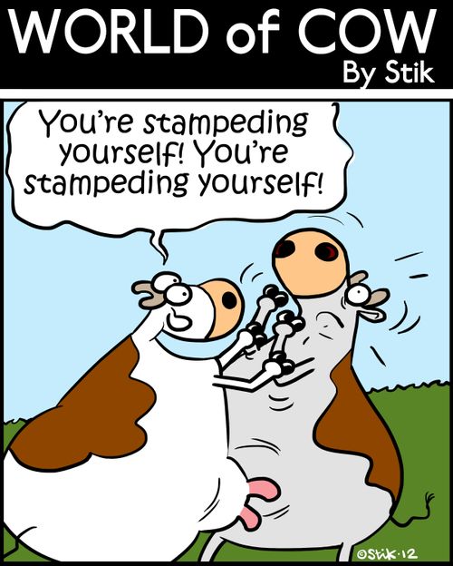 'You're stampeding yourself! You're stampeding yourself!'