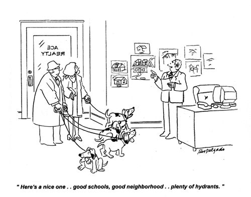 'Here's a nice one.. good schools, god neighborhood.. plenty of hydrants.'