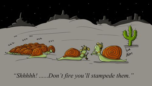 "Shhhh!....Don't fire you'll stampede them."