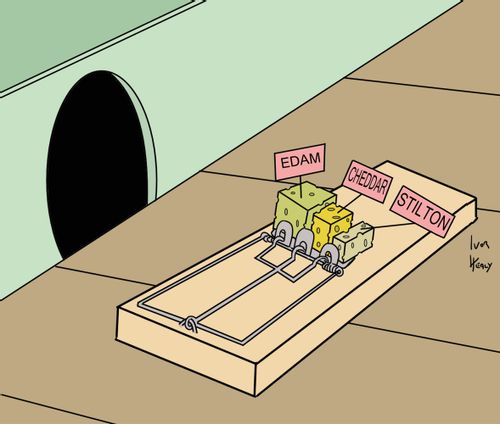 Cheeseboard mouse trap