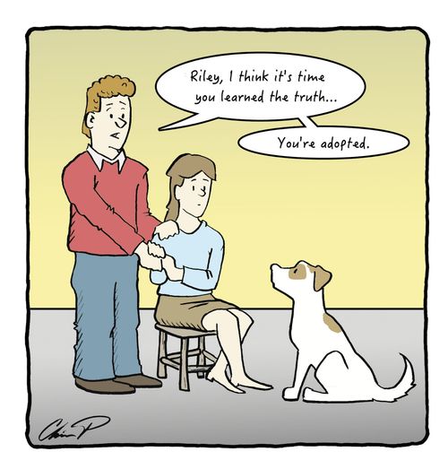 'Riley, I think it's time you learned the truth... You're adopted.'
