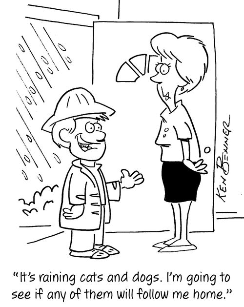 "It's raining cats and dogs. I'm going to see if any of them will follow me home."