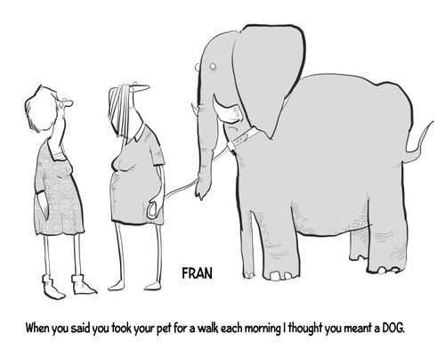 'When you said you took your pet for a walk each morning I thought you meant a DOG.'