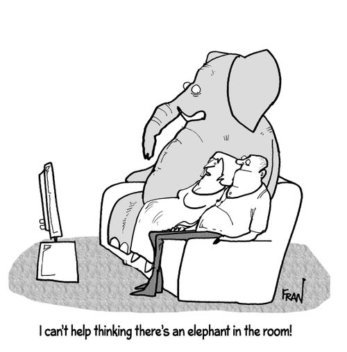 Elephant in the Room