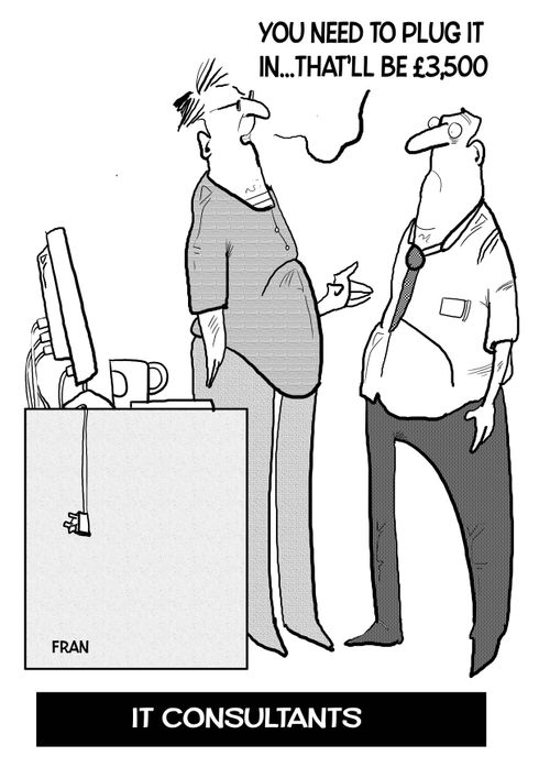 IT consultants