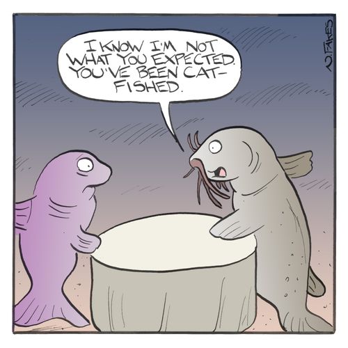 I know I'm not what you expected.  You've been catfished."