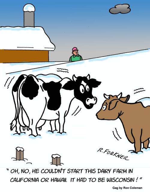 "Oh, no, he couldn't start this dairy farm in California or Hawaii. It had to be Wisconsin!"