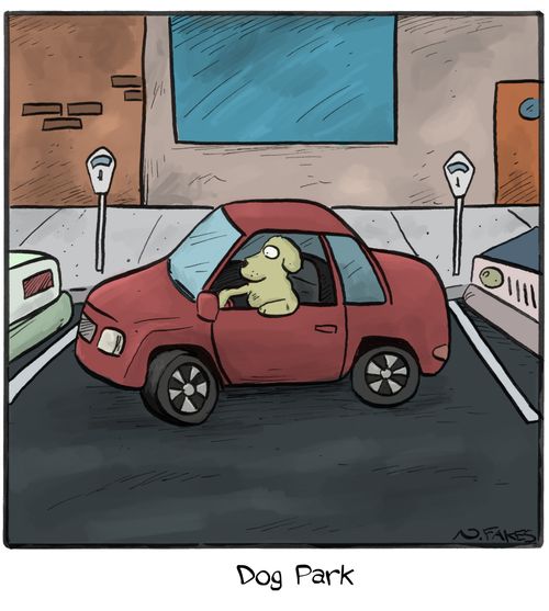 Dog Park