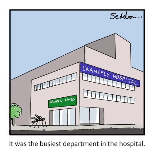 It was the busiest department in the hospital.