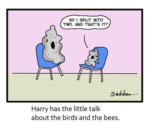 Harry has the little talk about the birds and the bees.
