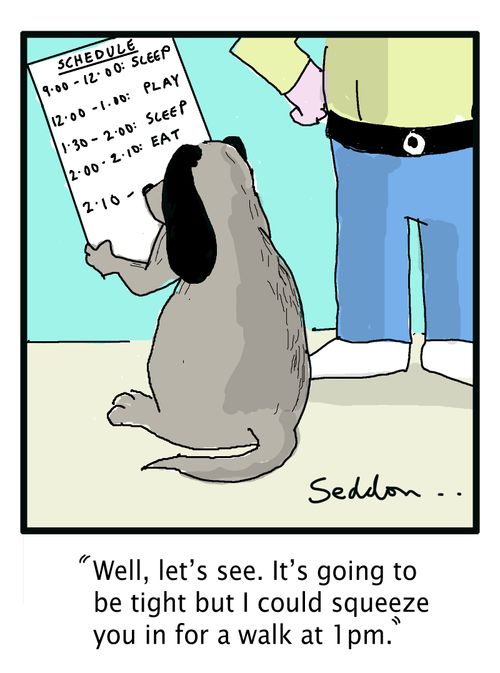 "Well let`s see. It's going to be tight but I could squeeze you in for a walk at 1 pm."