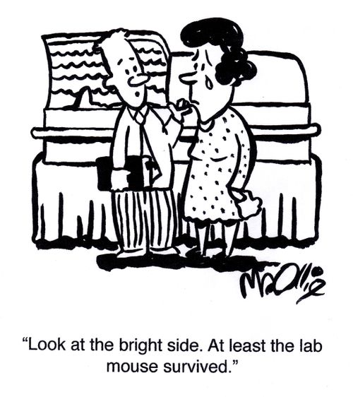 "Look at the bright side. At least the lab mouse survived."