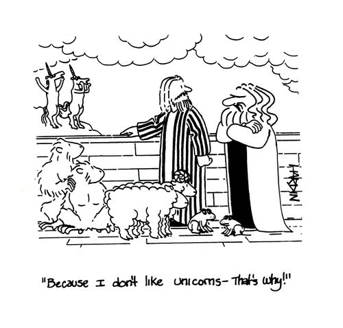 'Because I don't like unicorns, that's why!'