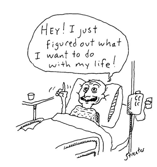 Hey! I just figured out what I want to do with my life!
