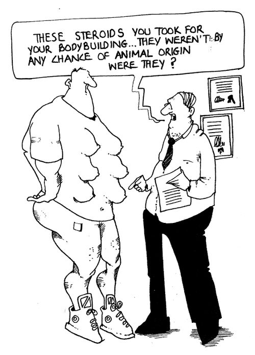 'These steroids you took for your body building...they weren't by any chance of animal origin, were they? 