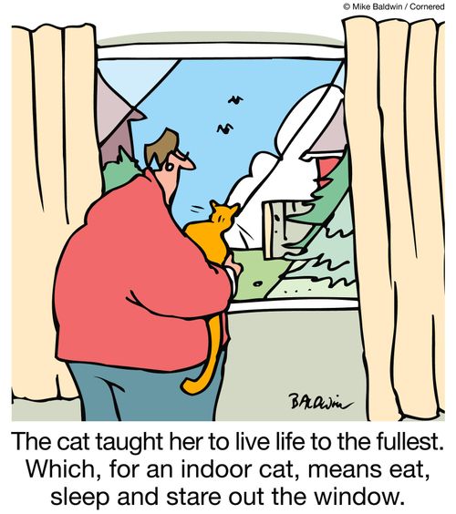 The cat taught her to live life to the fullest. Which, for an indoor cat, means eat, sleep and stare out the window.