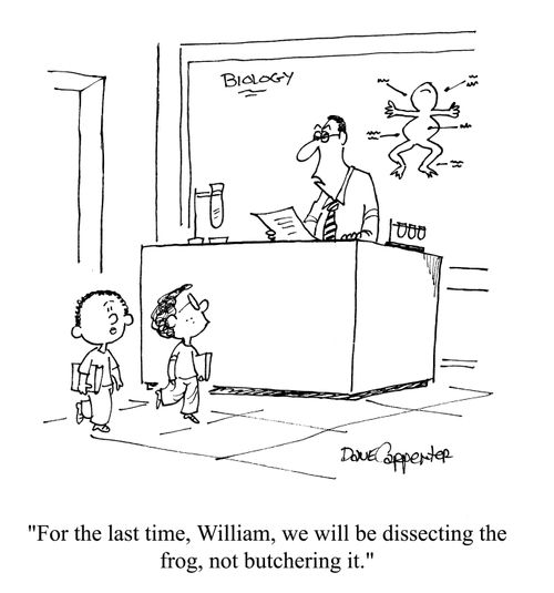 'For the last time, William, we will be dissecting the frog, not butchering it.'