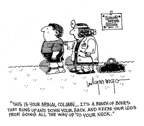 'This is your spinal column...It's a bunch of bones that runs up and down your back and keeps your legs from going all the way up to your neck.'