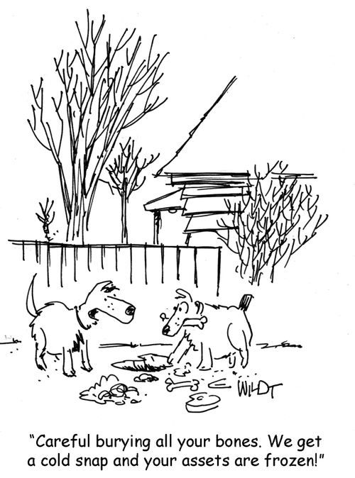 "Careful burying all your bones. We get a cold snap and your assets are frozen!"
