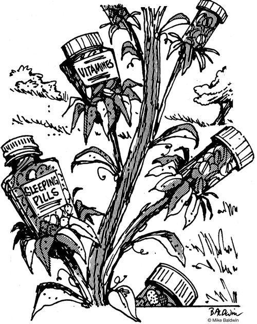 Medicinal plants