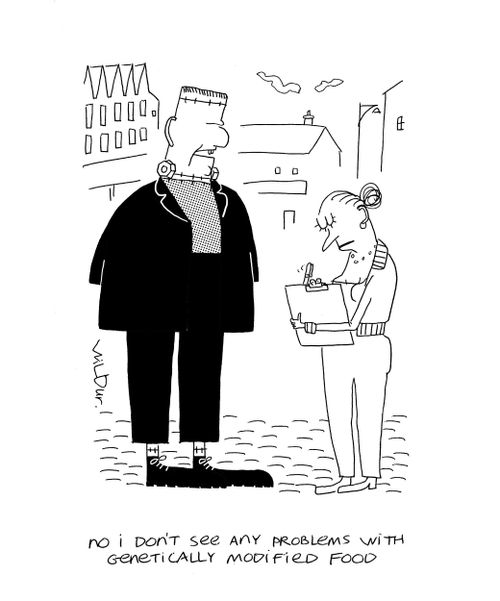 'No, I don't see any problems with genetically modified food.'