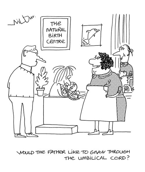 'Would the father like to gnaw through the umbilical cord?'