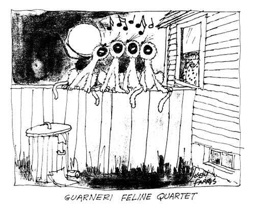 Guarneri Feline Quartet.