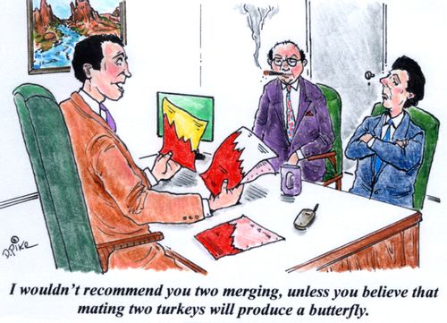'I wouldn't recommend you two merging, unless you believe that mating two turkeys will produce a butterfly.'