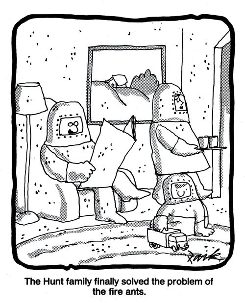 'The Hunt family have solved the problem of the fire ants.'