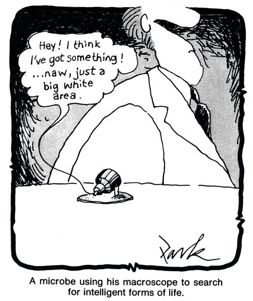 A microbe using his macroscope to search for intelligent forms of life.