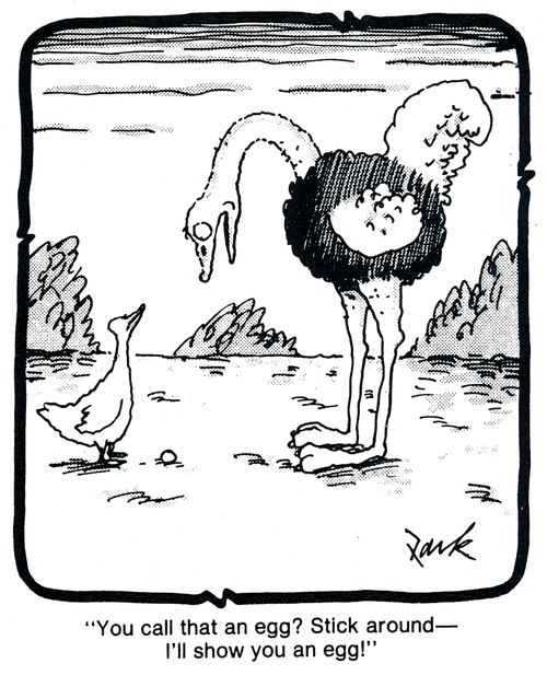 'You call that an egg? Stick around - I'll show you an egg!'