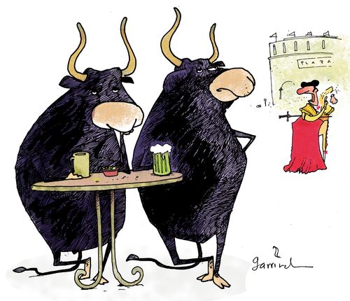 Cool bulls.