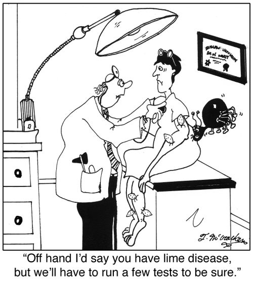 'Off hand I'd say you have lime disease, but we'll have to run a few tests to be sure.'