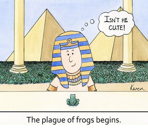 The plague of frogs begins