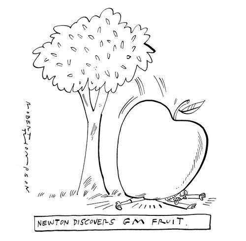Newton discovers GM fruit.