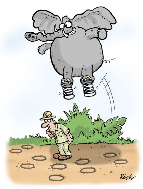 Elephant Tracks.