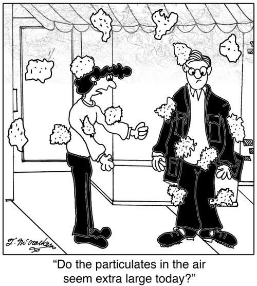  'Do the particulates in the air seem extra large today?'