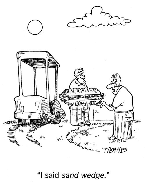 'I said sand wedge.'