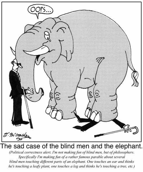 The sad case of the blind-men and the elephant.