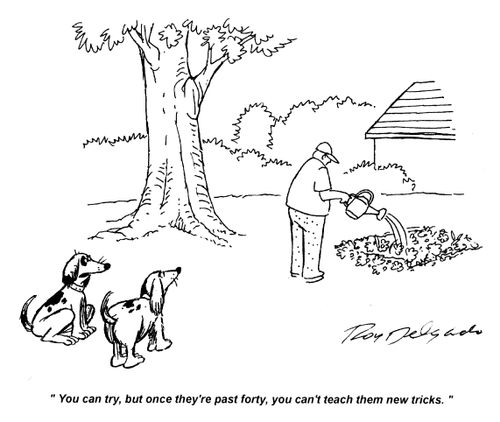 'You can try, but once they're past forty, you can't teach them new tricks.'