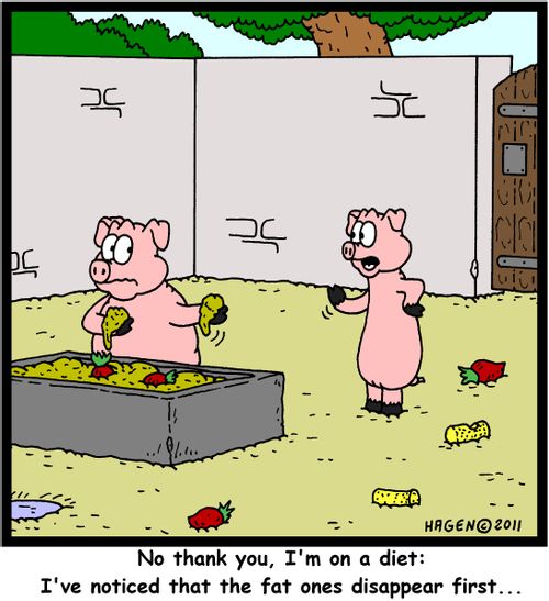'No thank you, I'm on a diet: I've noticed that the fat ones disappear first...'