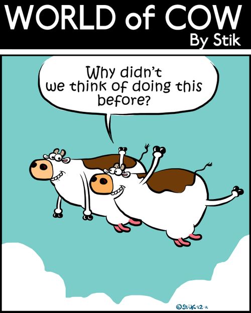 'Why didn't we think of doing this before?'