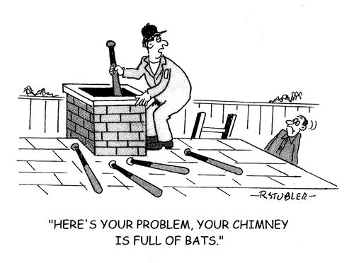 'Here's your problem,your chimney is full of bats.'