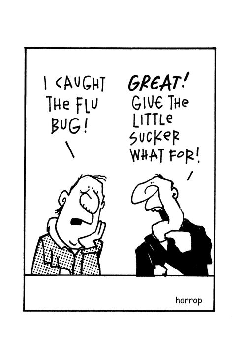 flu bug