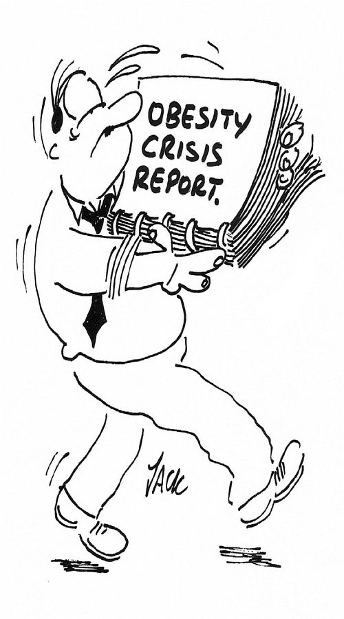 Obesity Crisis Report.
