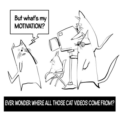 "Ever wonder where all those cat videos come from?"
