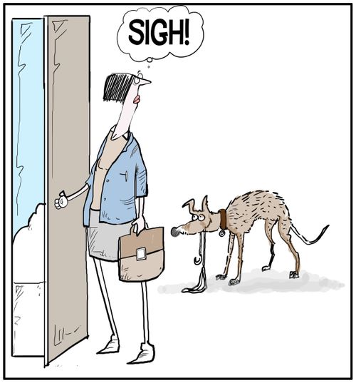 A dog asks to be walked as the owner leaves for work.