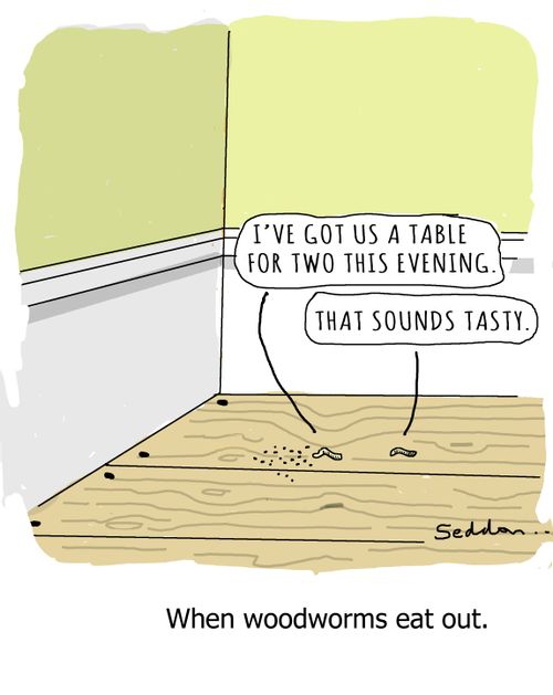 When woodworms eat out.