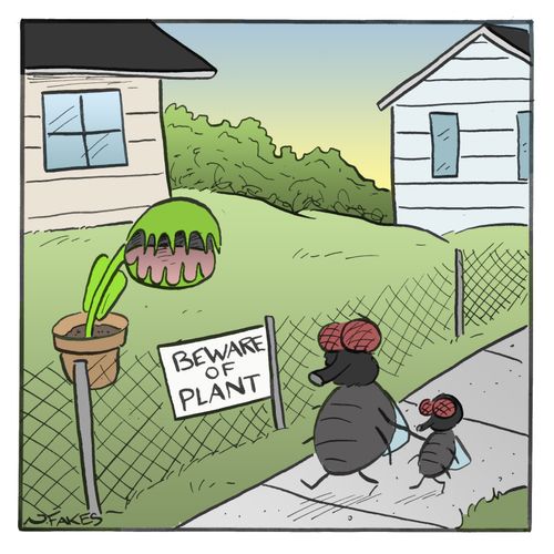 Beware of Plant