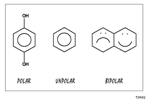 Bipolar Molecules